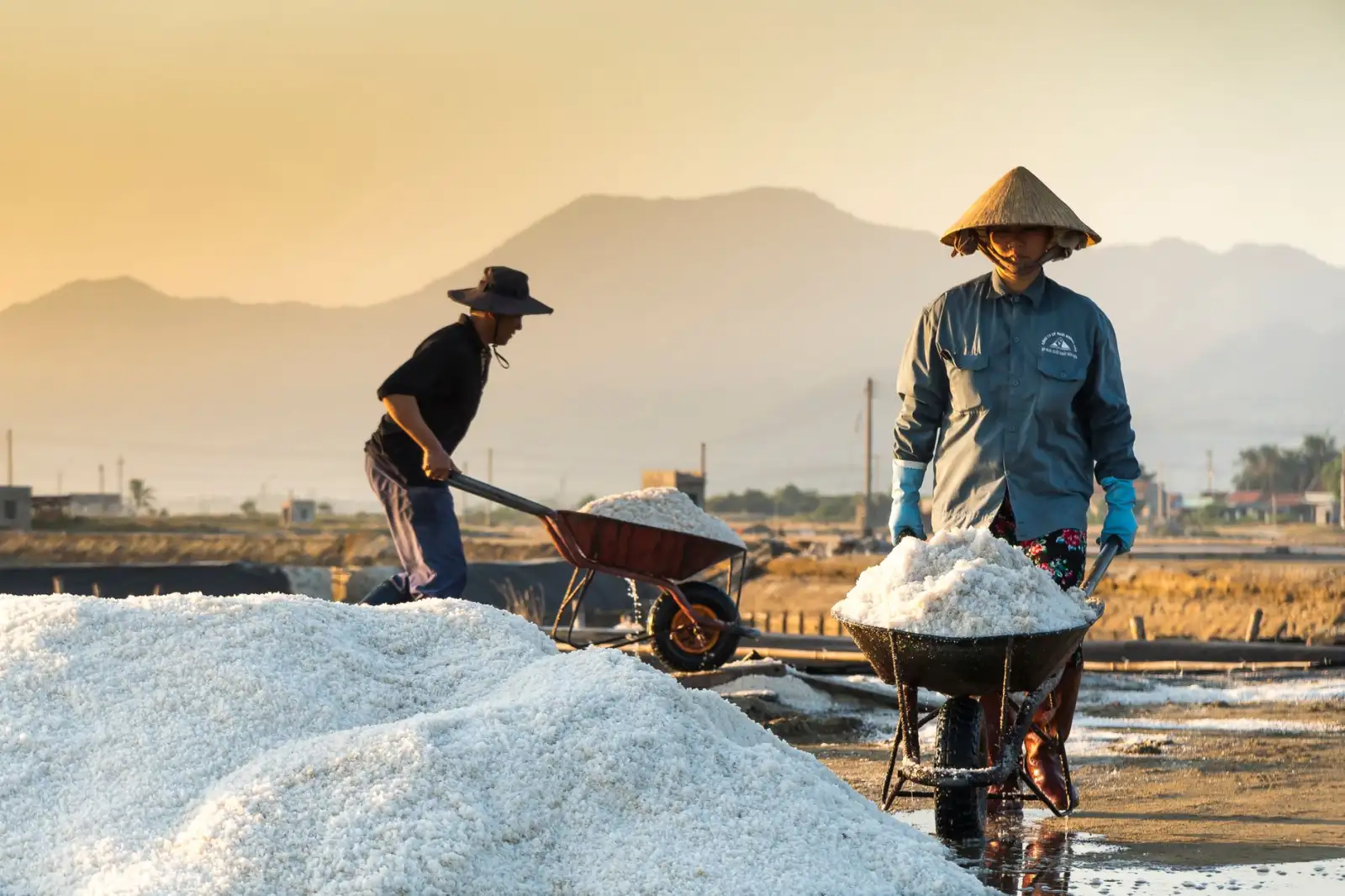 连续模与成型模具在电子配件批量制造中的工艺优势对比